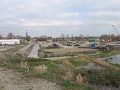 IMG_1837