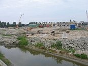 IMG_2231