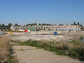 IMG_2350