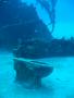 Duiken BVI_022