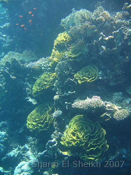 IMG_2002.JPG