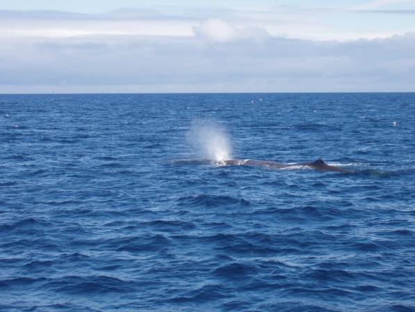 Noordkaap 2004 126