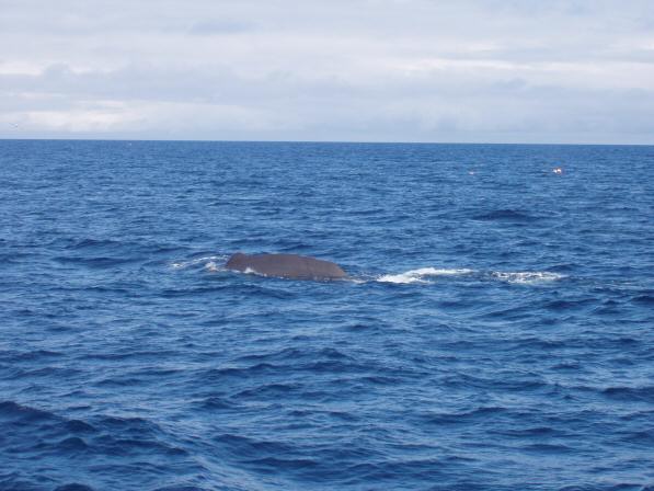 Noordkaap 2004 127