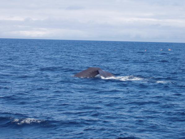 Noordkaap 2004 128