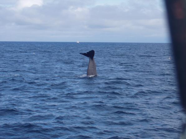 Noordkaap 2004 129