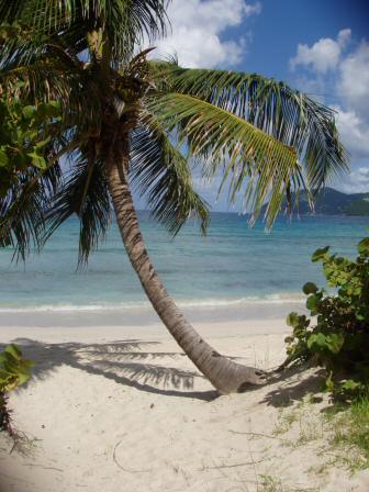 Tortola BVI_021