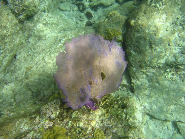 Tortola BVI_086