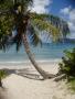 Tortola BVI_021