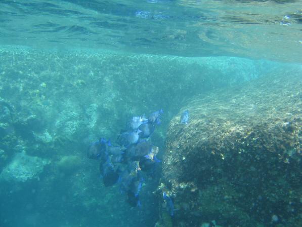 Virgin Gorda BVI_035